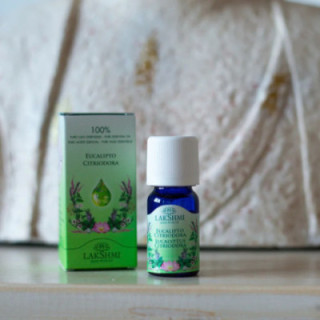 Sitruunaeukalyptus, Brasilia, villi, 10 ML