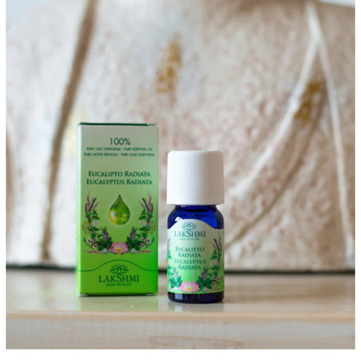 Eucalyptus radiata, Australia, bio, 10 ML