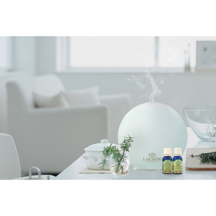 Aroma Joy Professional Diffuser