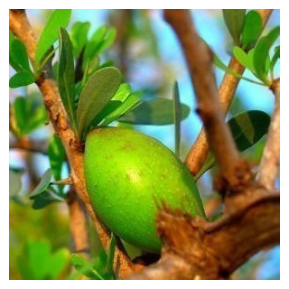 Arganöljy, bio, golden laatu, 30 ML