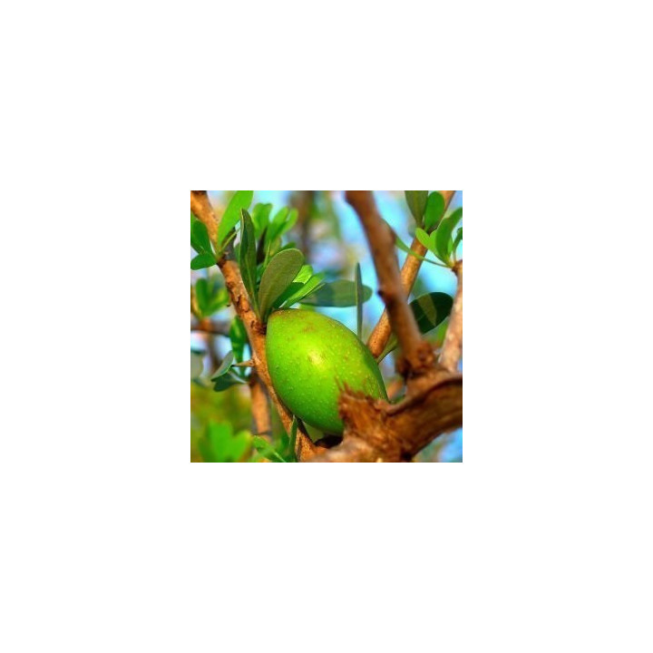 Arganöljy, bio, golden laatu, 30 ML